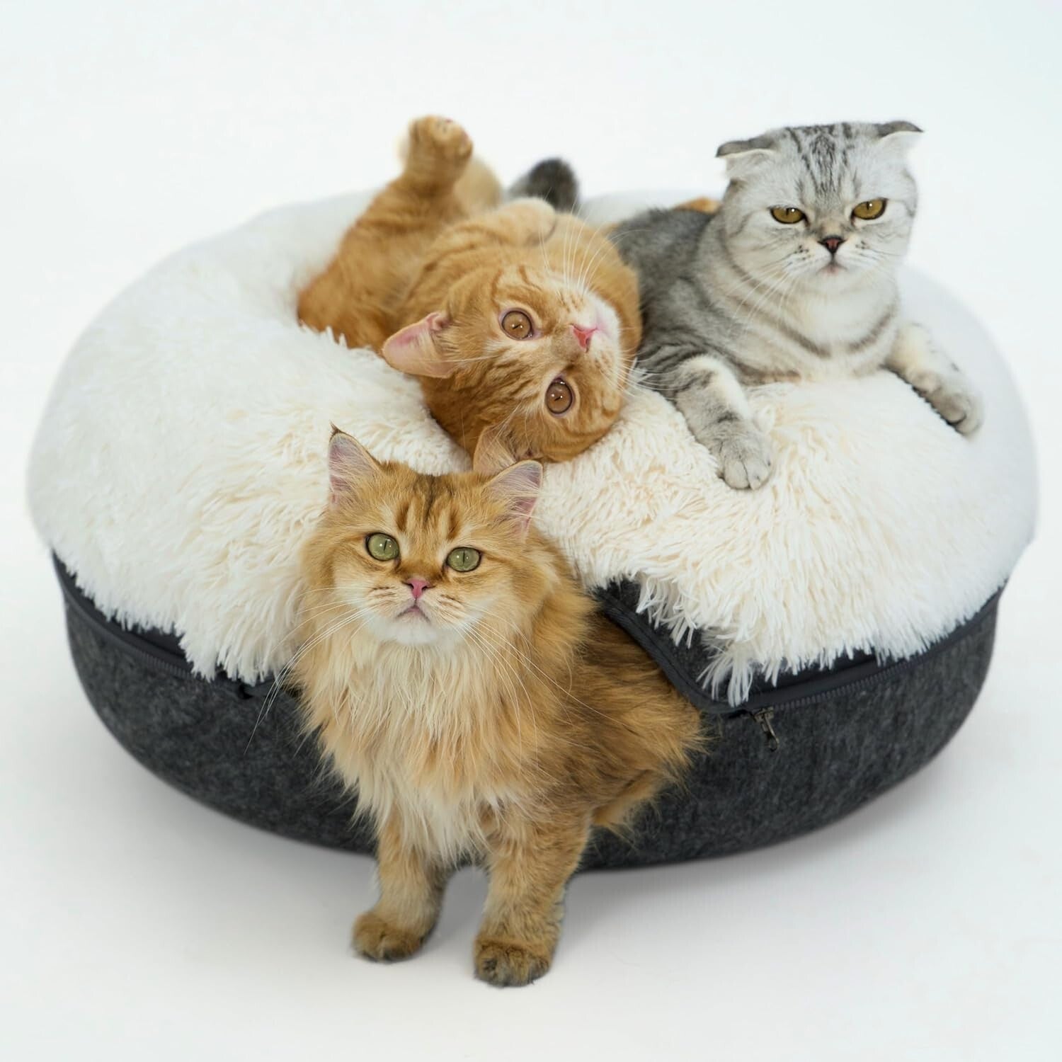Comfy Cat Cave with Interactive Peephole - Perfect for Multi-Pet Households