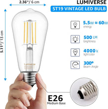 Load image into Gallery viewer, 16 Pack Dimmable LED Edison Bulbs - 5.5W Cool White E26 Base for Elegant Spaces