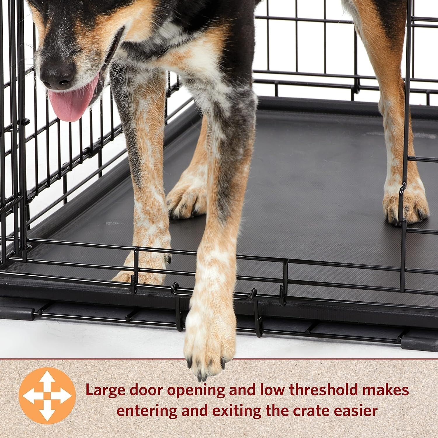 24-Inch Secure Folding Dog Crate for Small Breeds - Easy Assembly & Travel Ready