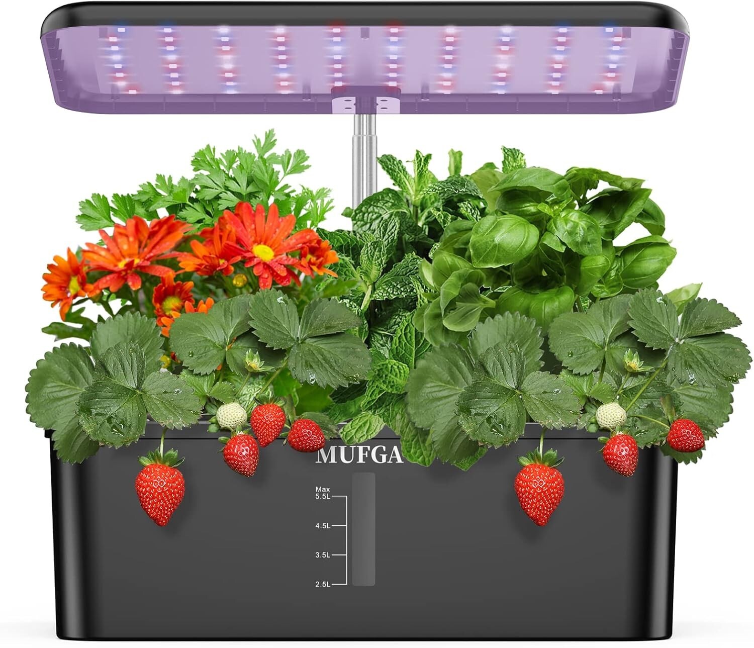 Indoor Hydroponics Growing System with LED Grow Light - 12 Pods Mini Garden Kit