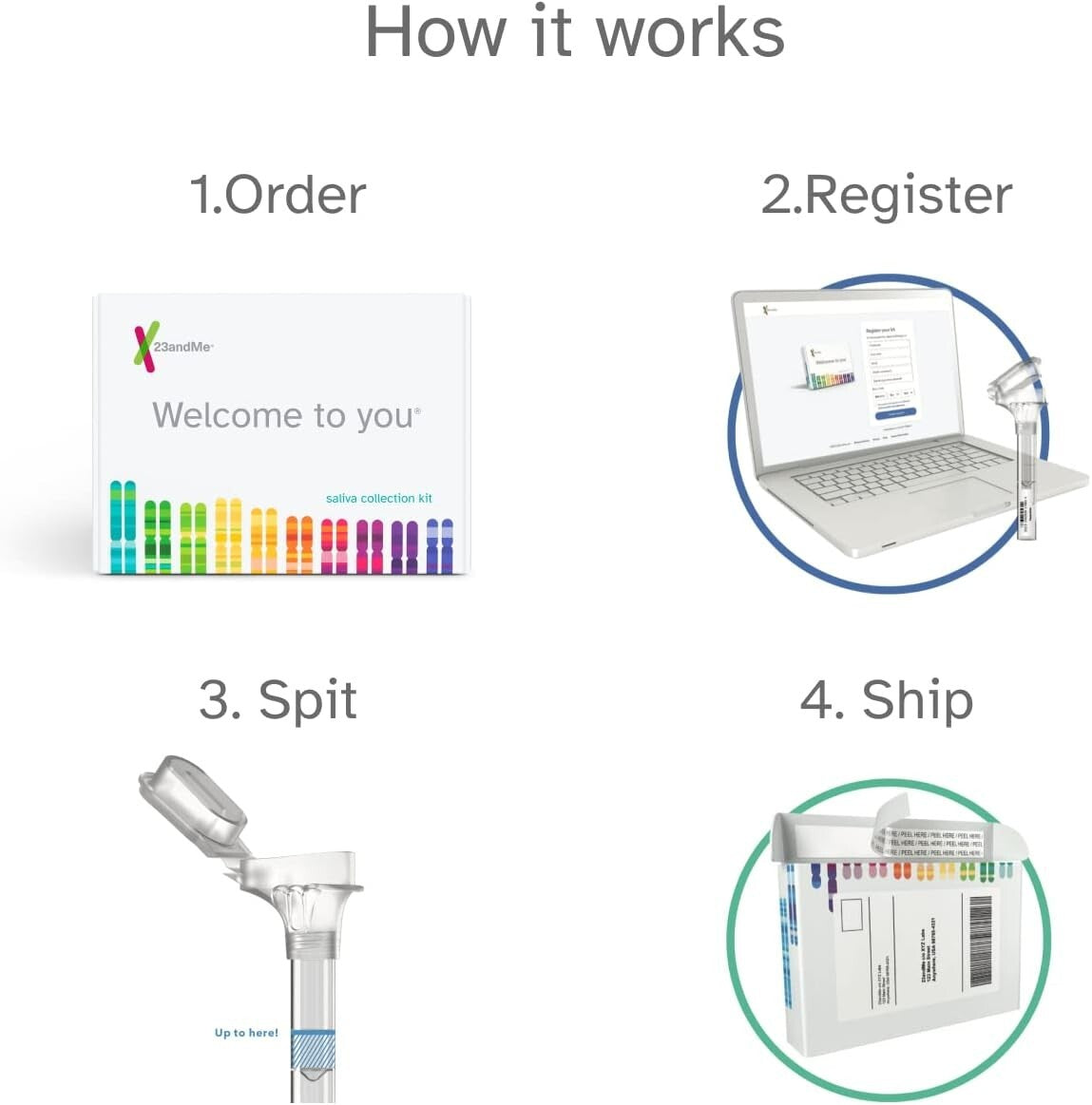 Premium DNA Kit Bundle: Personal Insights + 1 Year Health & Ancestry Service