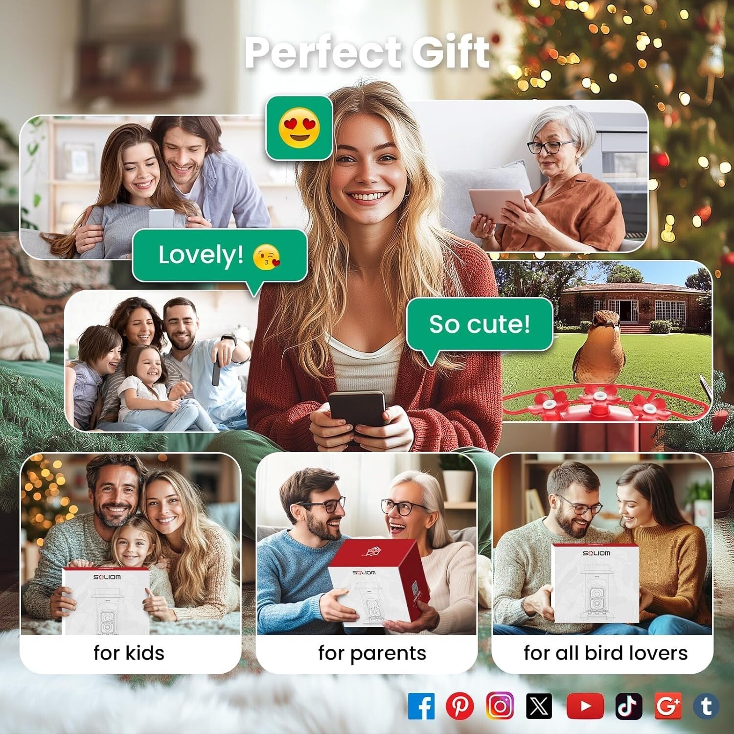 Bird Watching Camera Feeder with AI Species ID, Solar Power & Easy Clean Design