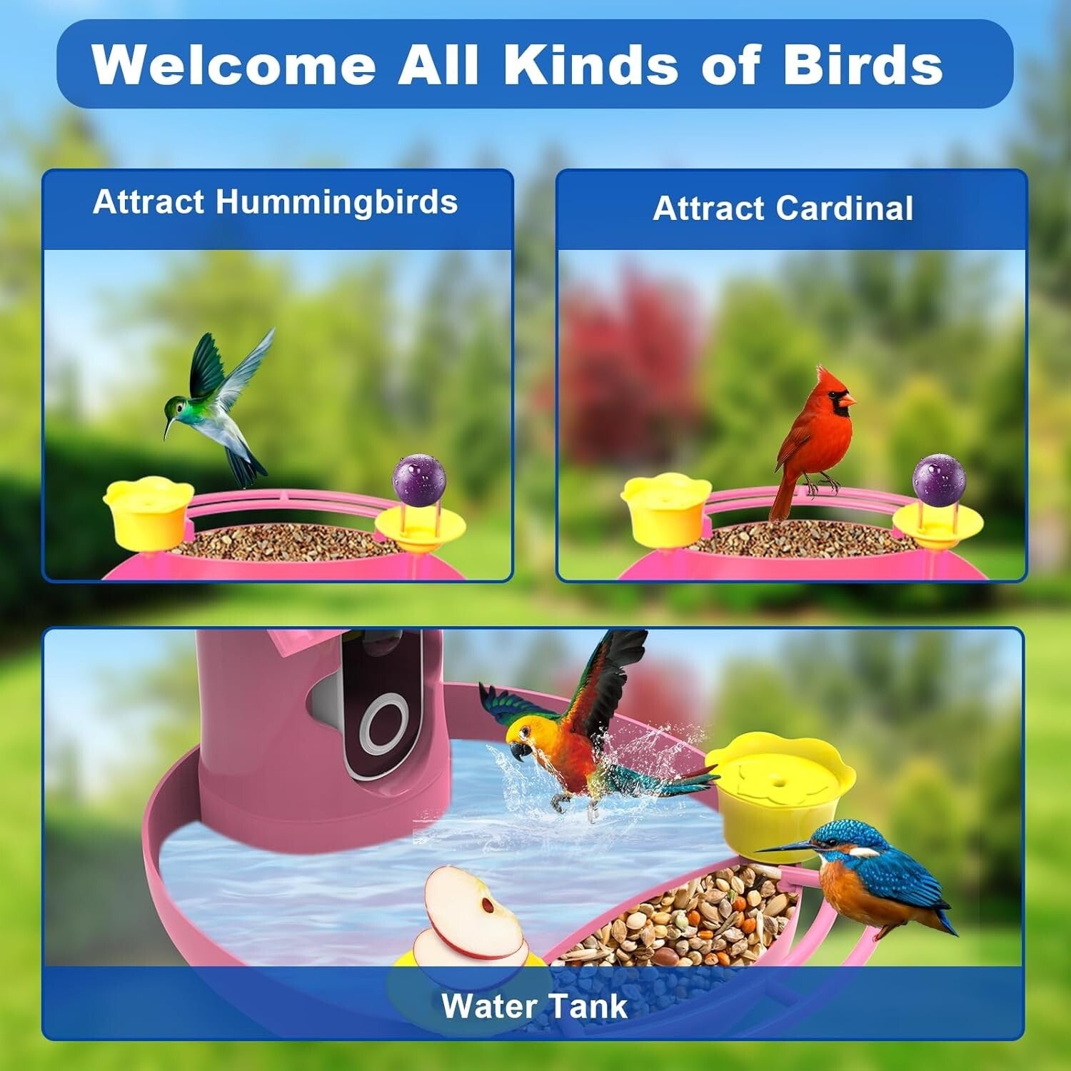 Smart Solar-Powered Bird Feeder with AI Recognition & Built-In Camera – Pink