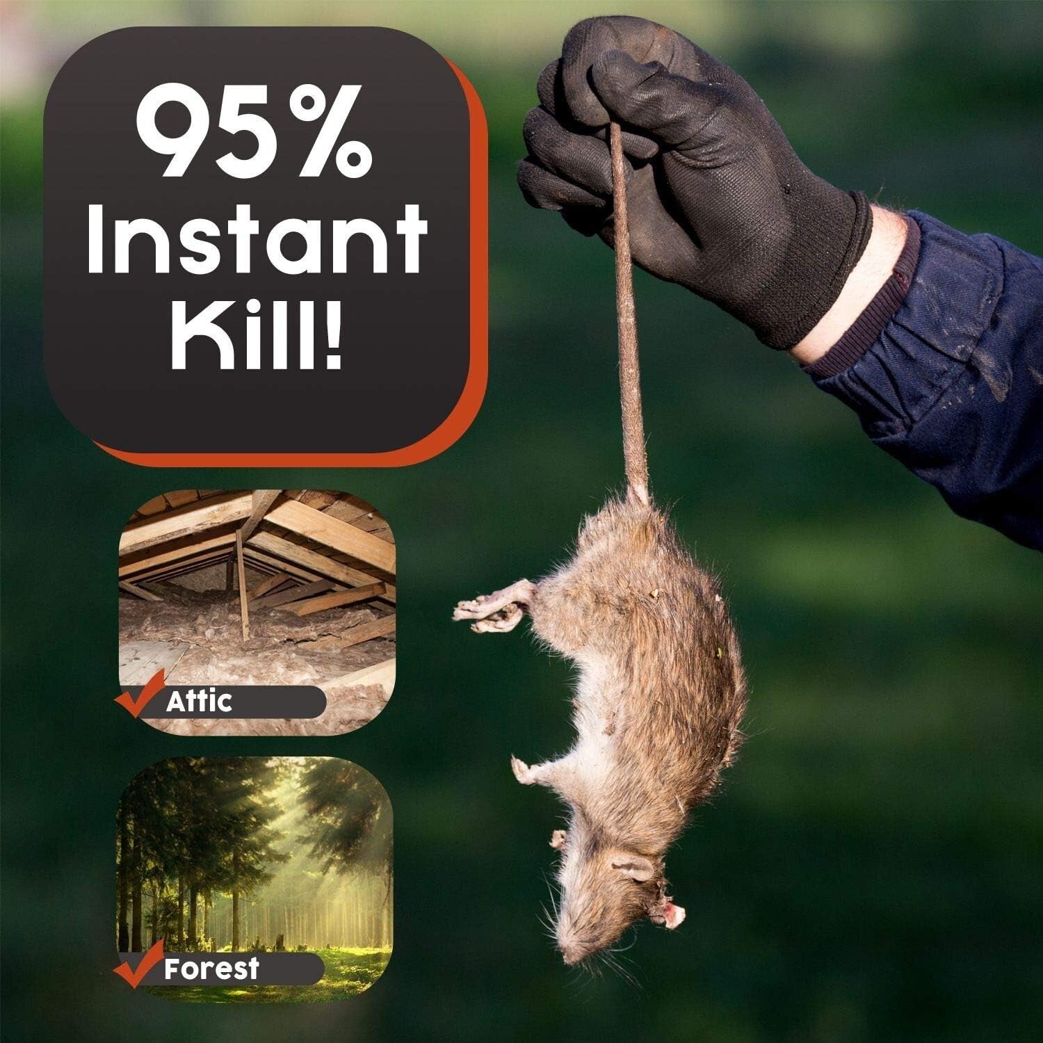 High-Quality Outdoor Squirrel Trap - Large Metal Design for Quick Extermination