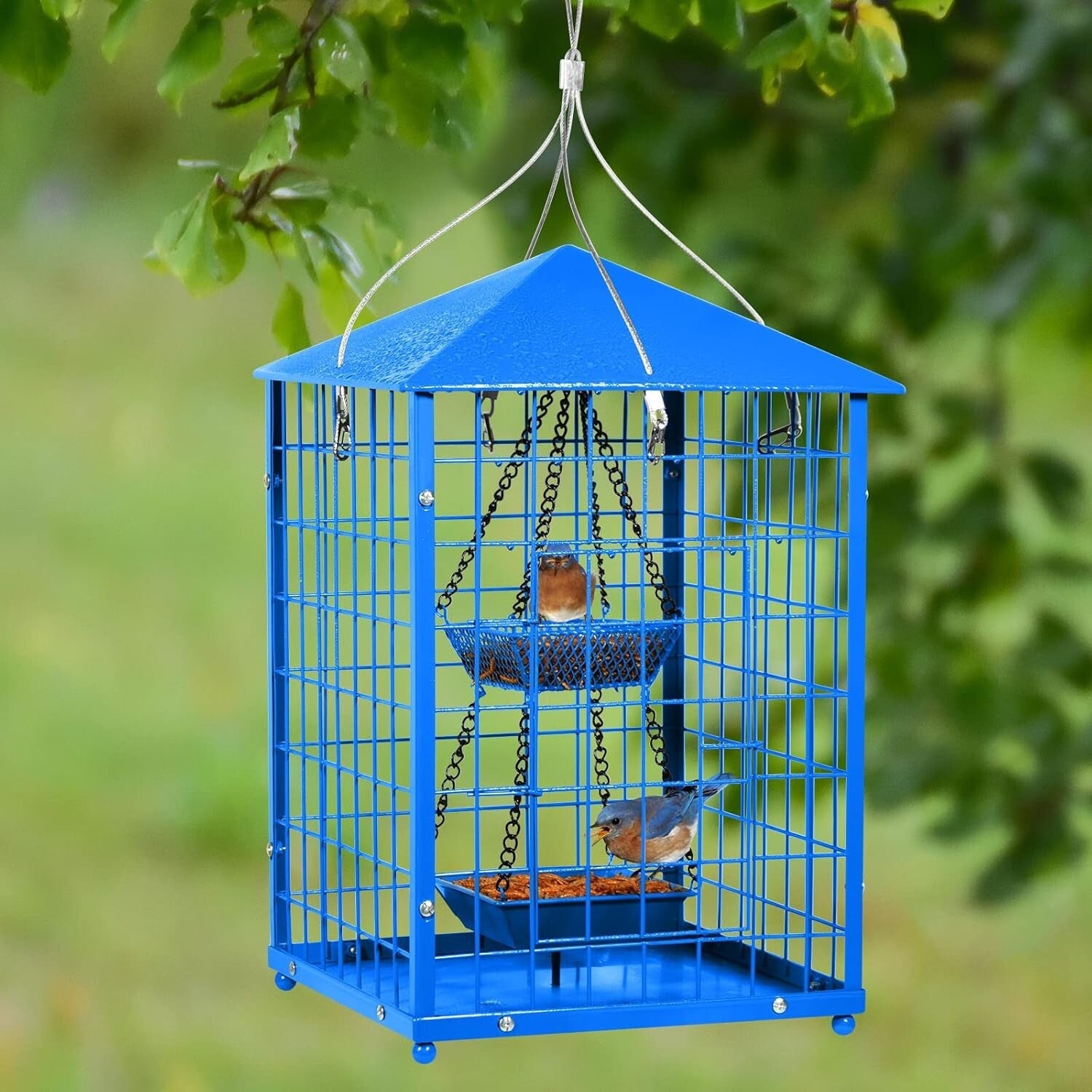 Weather-Proof Caged Bird Feeder for Bluebirds - DIY Compatible & 2lbs Capacity