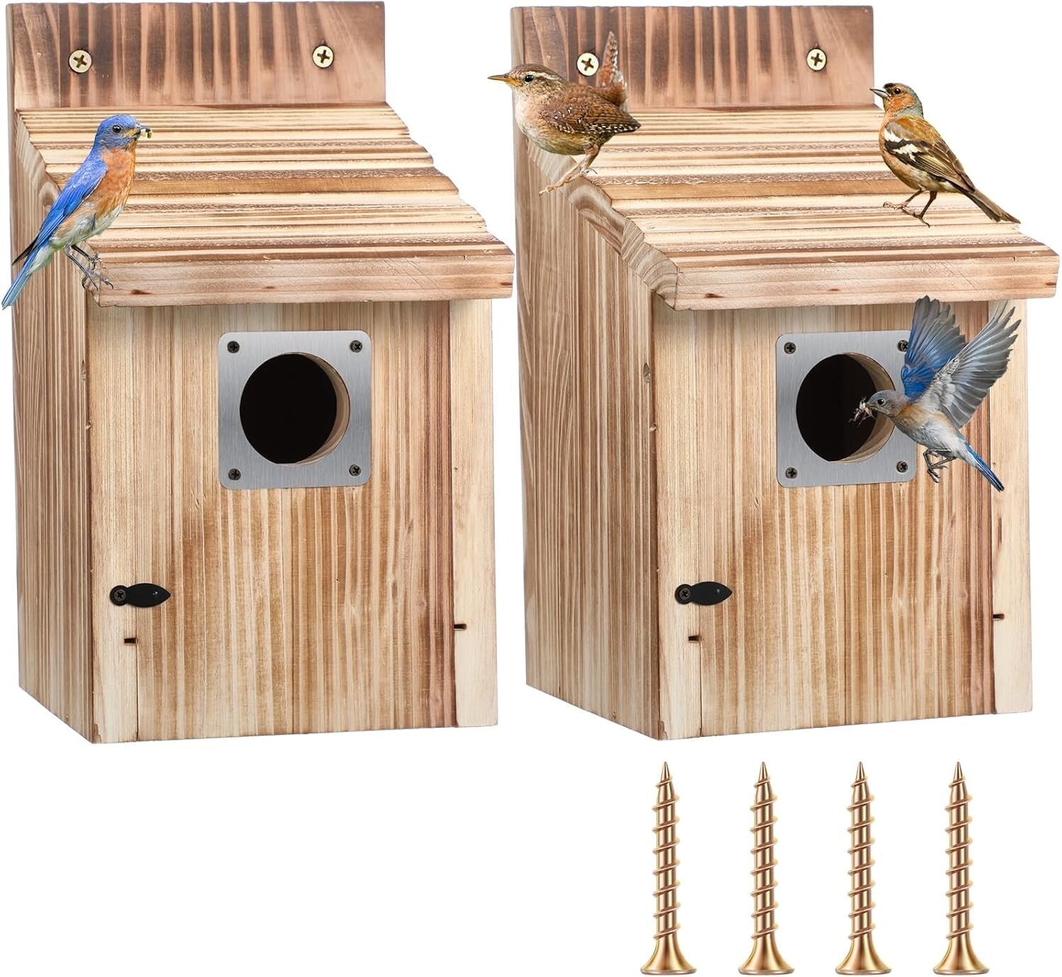 4-Pack Cedar Birdhouses with Metal Guard - Attractive Bluebird Nesting Homes