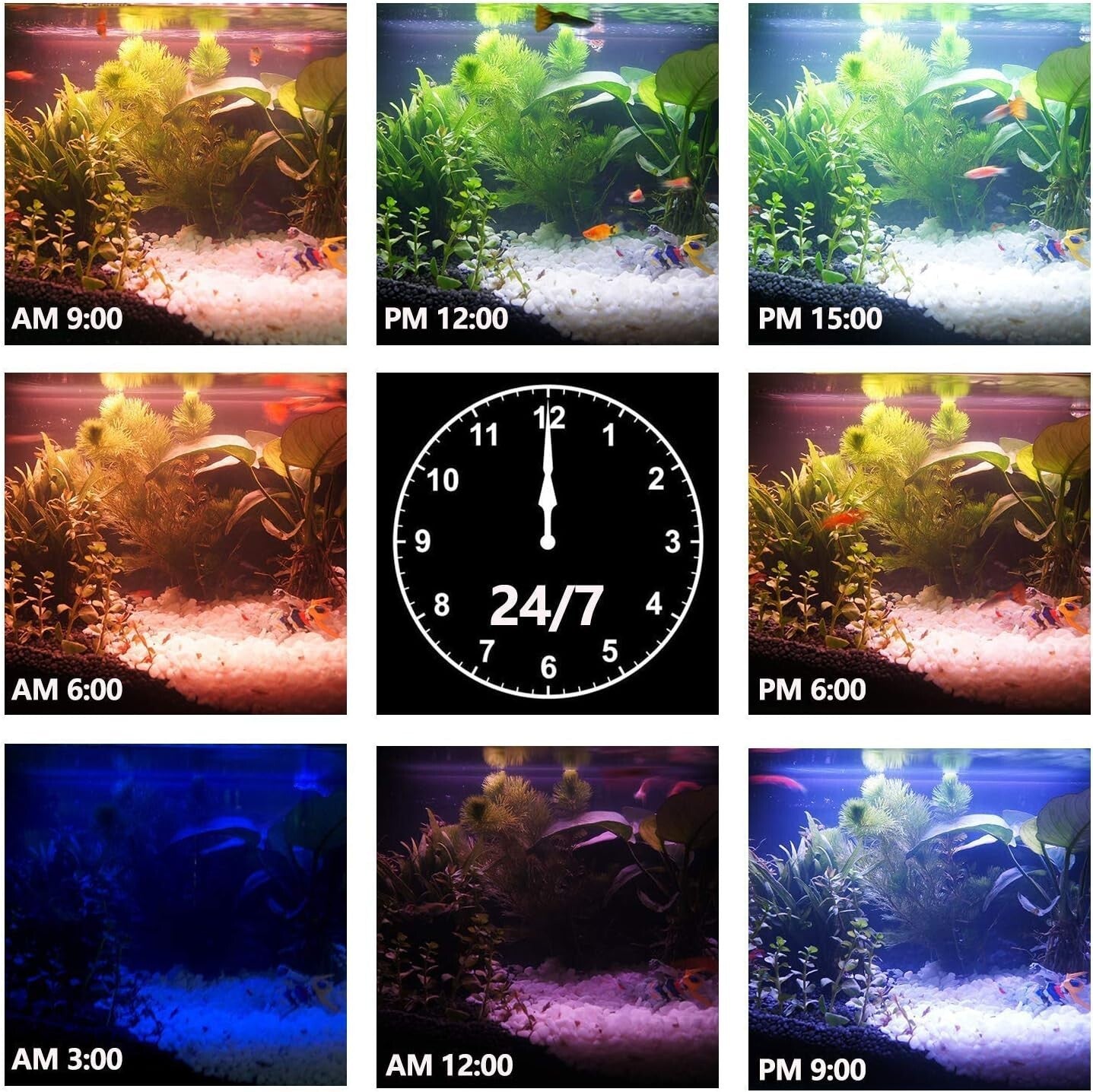 Remote-Controlled 20.4-Inch Aquarium LED Light for Vibrant Fish and Coral Growth