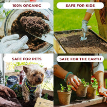 Load image into Gallery viewer, Organic Coconut Coir Potting Soil - 3 Gallons - Perfect for Indoor &amp; Outdoor Use
