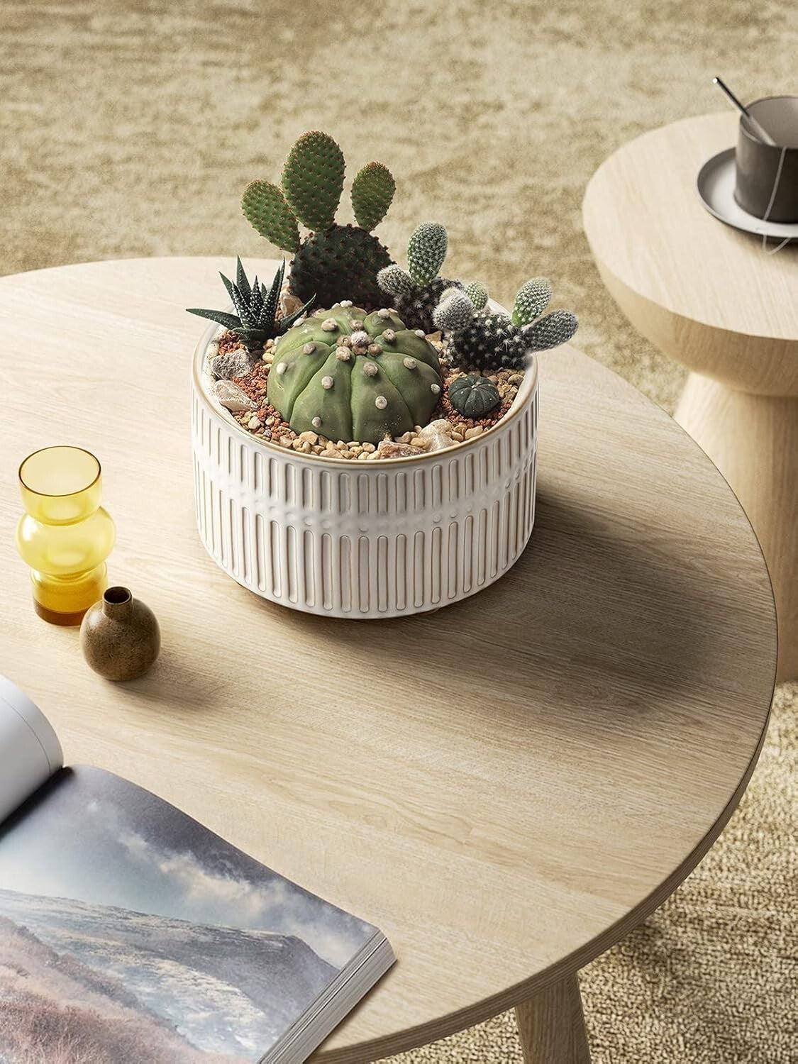 Elegant 6.5/8 Inch Ceramic Succulent Pots with Drainage - Indoor Garden Combo