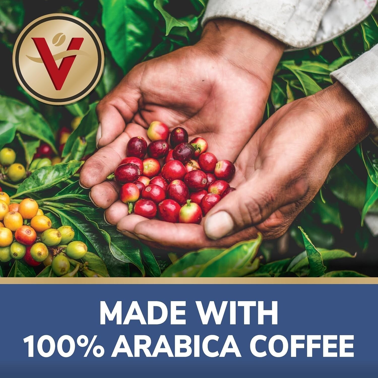 80 Single Serve Coffee Pods - 100% Arabica Variety with Light to Dark Roasts!