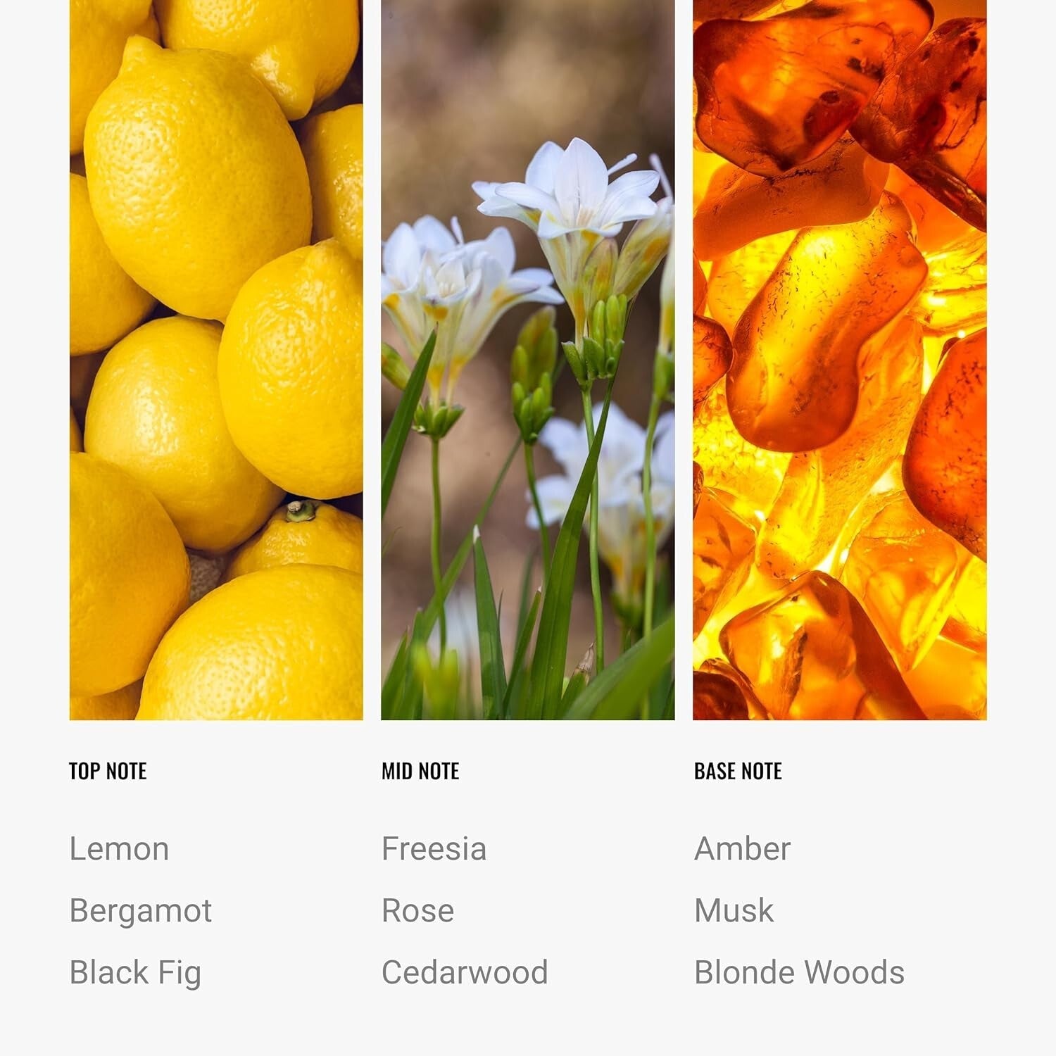 Black Velvet Aromatherapy Diffuser Oil - Zesty Citrus & Floral Rose 50ML