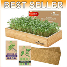 Load image into Gallery viewer, Stylish Microgreens Growing Kit with Natural Wood Finish - Perfect for Beginners