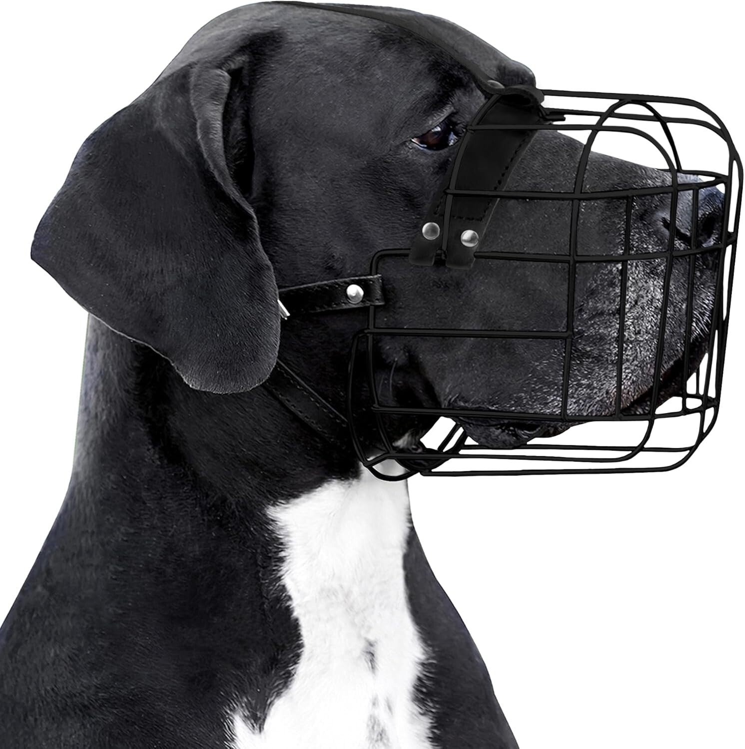Breathable Large Dog Muzzle with Leather Straps - Prevents Biting & Scavenging