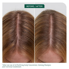 Load image into Gallery viewer, Gentle Scalp and Hair Conditioner - Nourishing Formula for Daily Use, 10.16oz