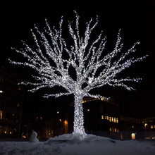 Load image into Gallery viewer, Upgraded 600 LED Solar Fairy Lights - 33ft Waterproof String Lights with 8 Modes