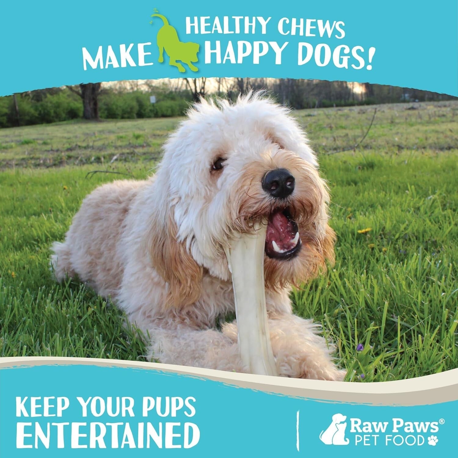 10-Pack Compressed Rawhide Bones - Perfect for Large Dogs and Aggressive Chewers