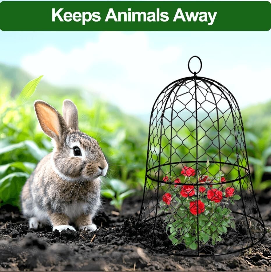 Durable 6-Pack Plant Protectors - 13" Diameter Garden Cloches Against Pests