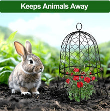 Load image into Gallery viewer, Durable 6-Pack Plant Protectors - 13" Diameter Garden Cloches Against Pests