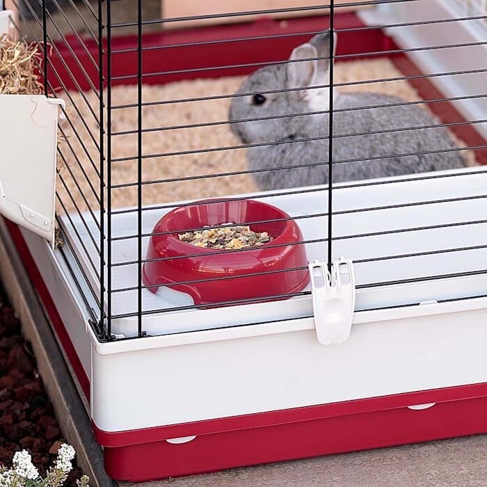 Complete Rabbit Starter Kit: 55.9' Extra-Large Cage with Hutch & Accessories