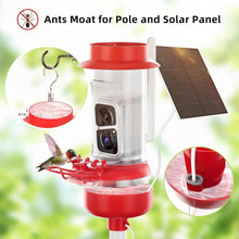 Load image into Gallery viewer, Bird Watching Camera Feeder with AI Species ID, Solar Power &amp; Easy Clean Design