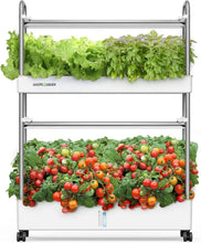Load image into Gallery viewer, Space-Saving Hydroponic Garden with 60 Pods &amp; Full Spectrum LED for Home Use