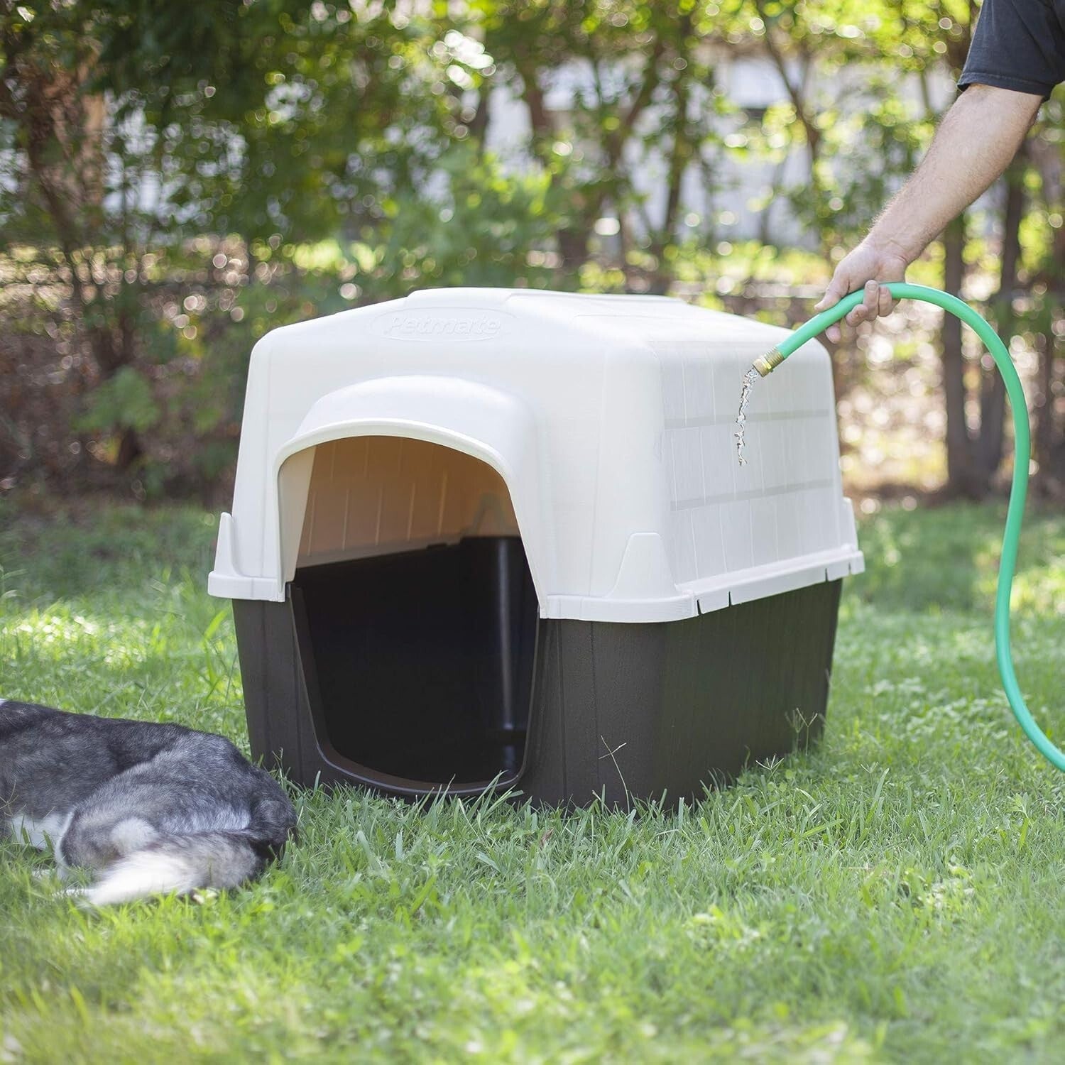 Weather-Resistant Aspen Pet Outdoor Dog House for Medium Breeds (25-50 lbs)