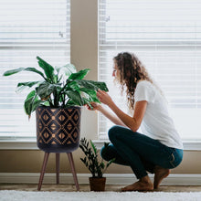 Load image into Gallery viewer, Stylish 12-Inch Fiberclay Planter Pot with Wooden Legs - Bronze/Black Finish