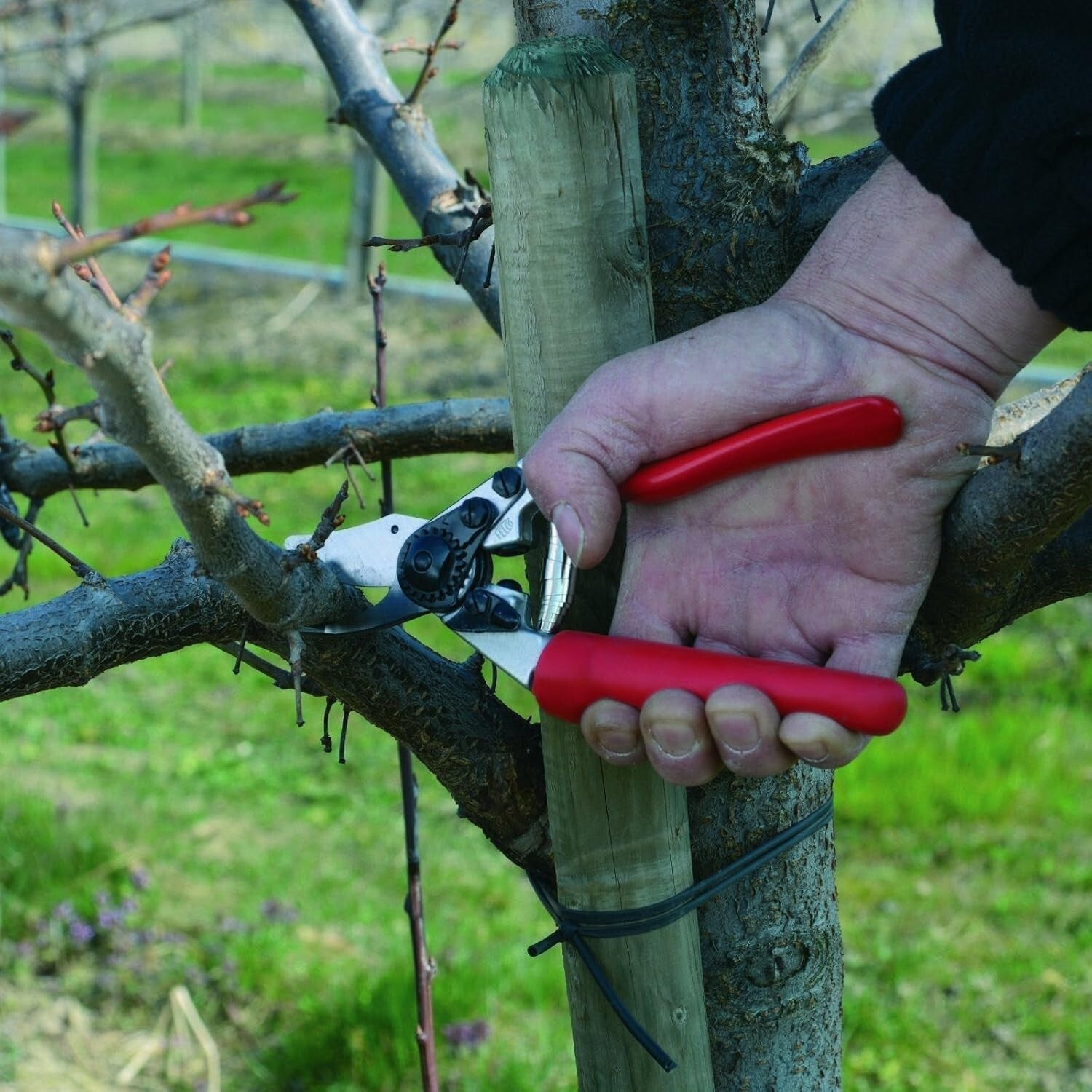 Swiss-Made Ergonomic Pruning Shears - Lightweight Garden Pruners for Small Hands