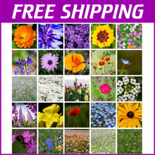 Load image into Gallery viewer, Stunning 1 lb Wildflower Seed Blend - Attract Bees &amp; Butterflies - Easy to Grow