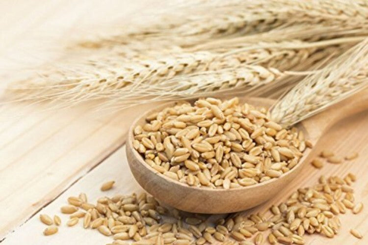 USDA Organic 20lb Hulled Barley - Nutrient-Rich Whole Grain for All Recipes