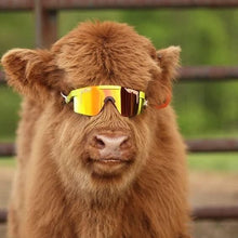 Load image into Gallery viewer, Heavy-Duty Wide Fit Sunglasses with Retro Flair – Perfect for Active Lifestyles