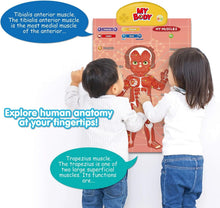 Load image into Gallery viewer, Learn Body Parts and Muscles with Interactive Talking Anatomy Poster for Kids