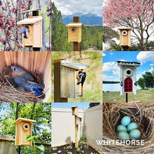 Load image into Gallery viewer, Durable Weatherproof Bird House with Predator Guard - Family-Designed Quality