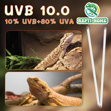 Load image into Gallery viewer, Durable 39W UVB Light Bulb for Reptiles – Promotes Vitamin D3 Absorption, 2 Pack