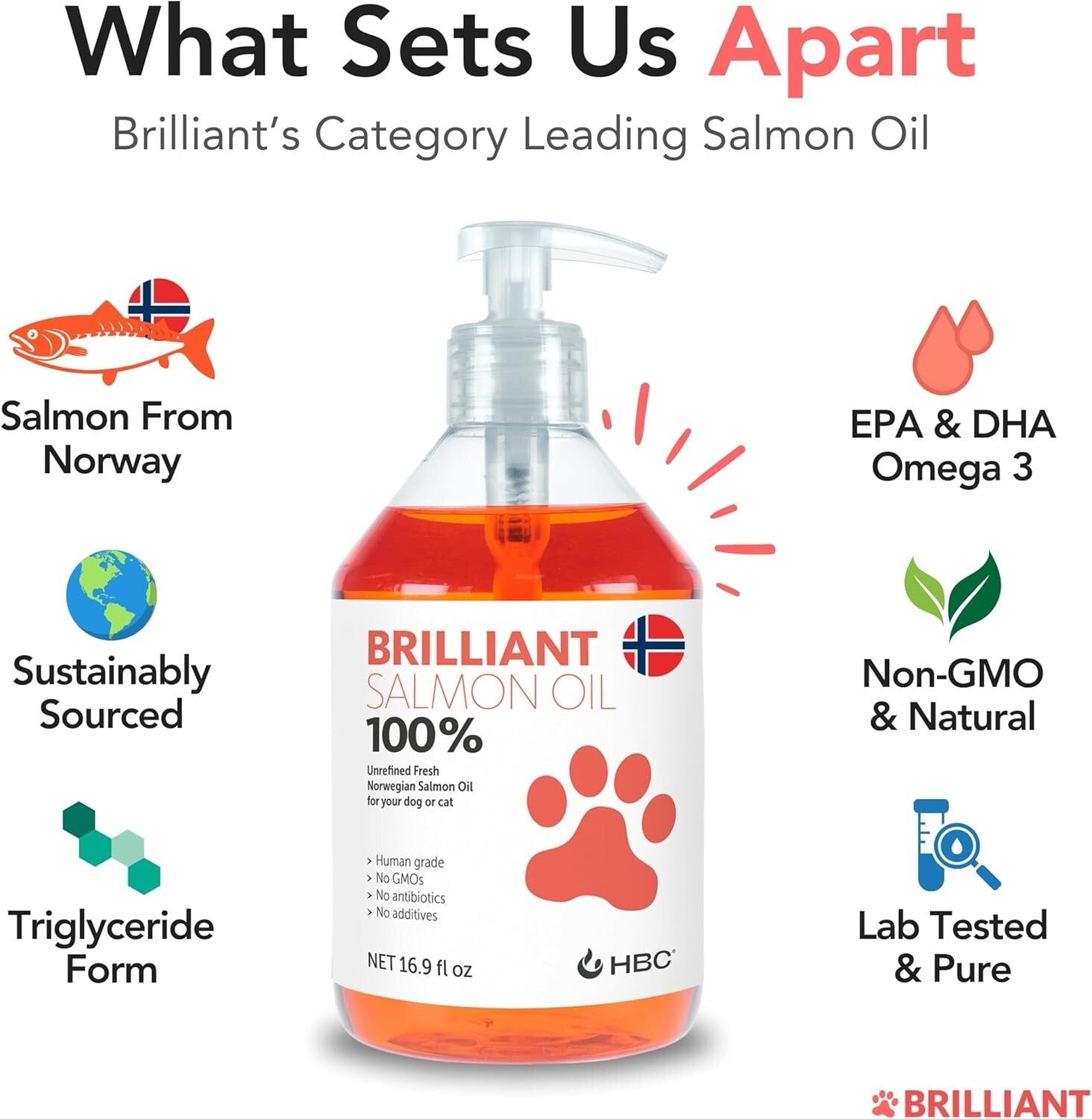 Omega 3 Salmon Oil for Dogs - Natural Supplement for Coat & Joint Health, 32.8oz