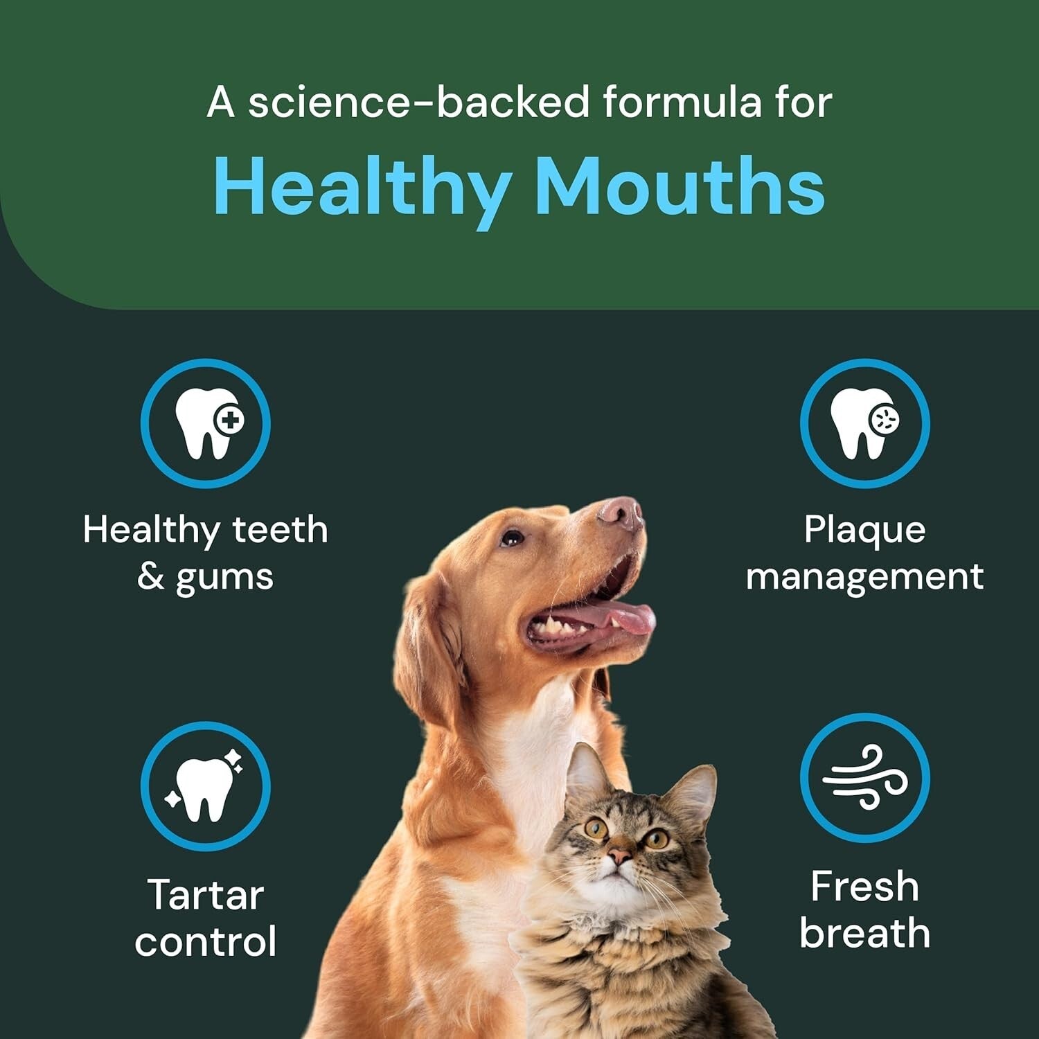 Perio Support Pro - Natural Dental Care Powder for Medium & Large Dogs and Cats
