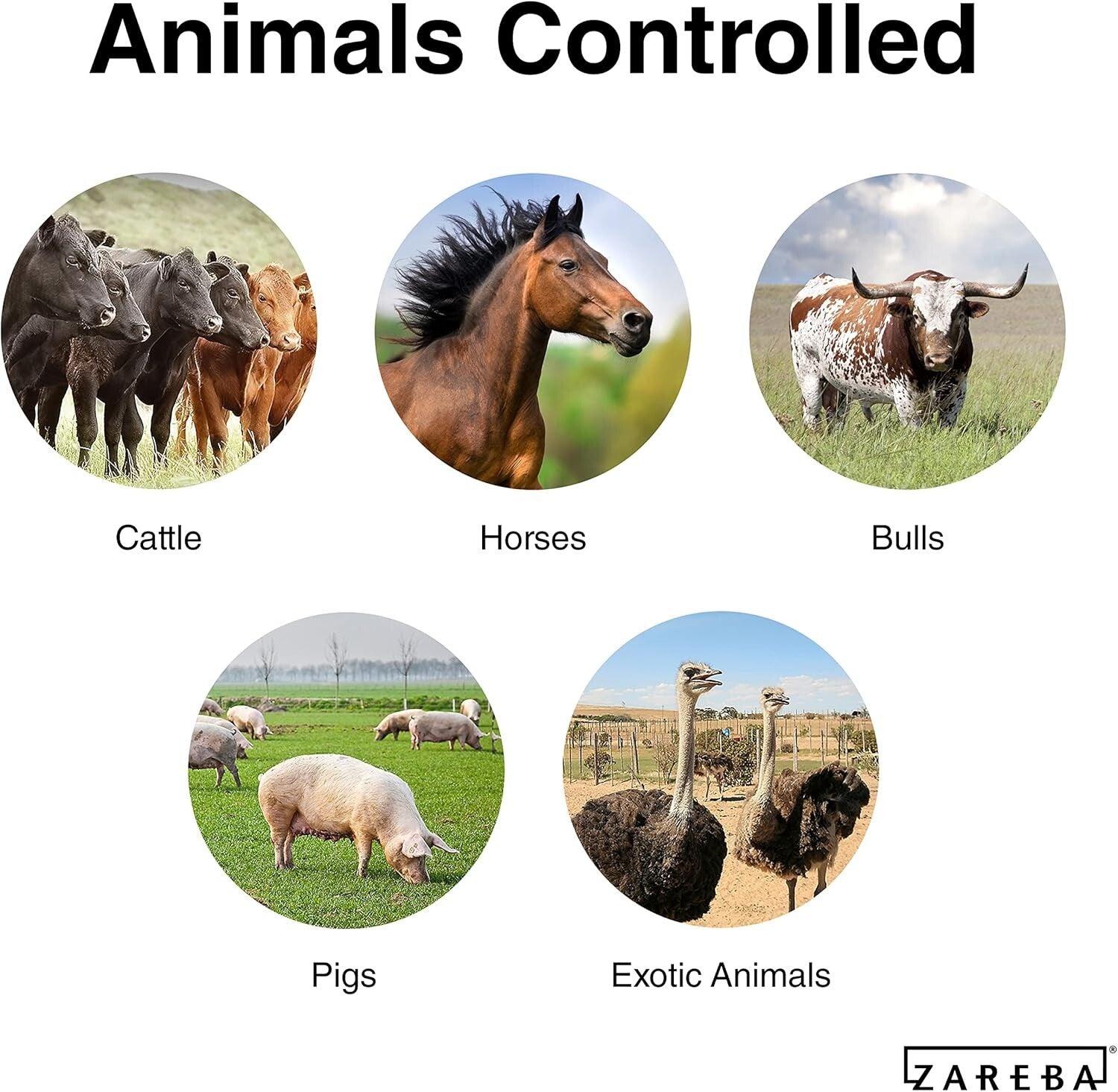 656ft Lightweight UV-Protected Electric Fencing Polyrope with 6 Aluminum Wires