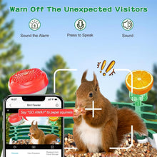 Load image into Gallery viewer, Weatherproof Bird Feeder Camera with Live View – Instant Notifications &amp; Sharing
