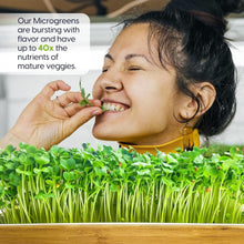 Load image into Gallery viewer, Stylish Microgreens Growing Kit with Natural Wood Finish - Perfect for Beginners