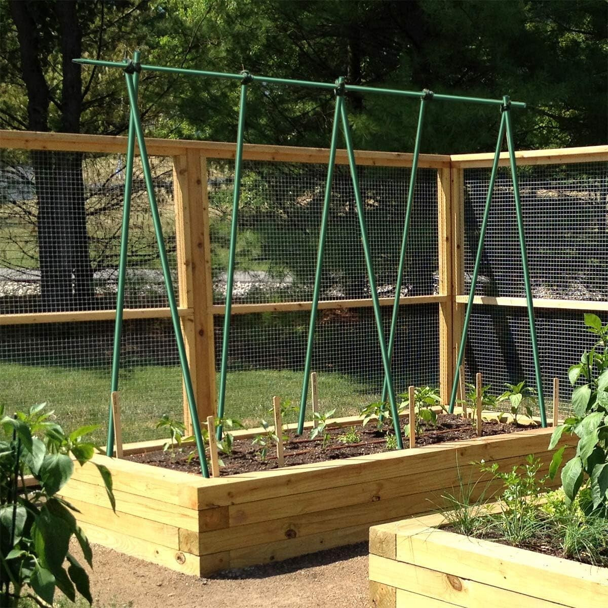 Lightweight 3ft Fiberglass Plant Support Stakes - 50-Pack for Easy Gardening