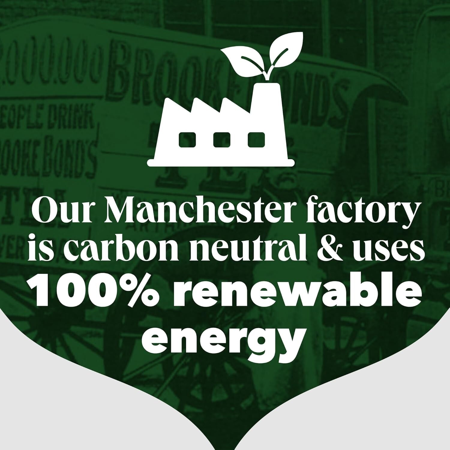 Premium Pyramid Tea Bags - 1100 Count Everyday Tea for Catering & Tea Breaks