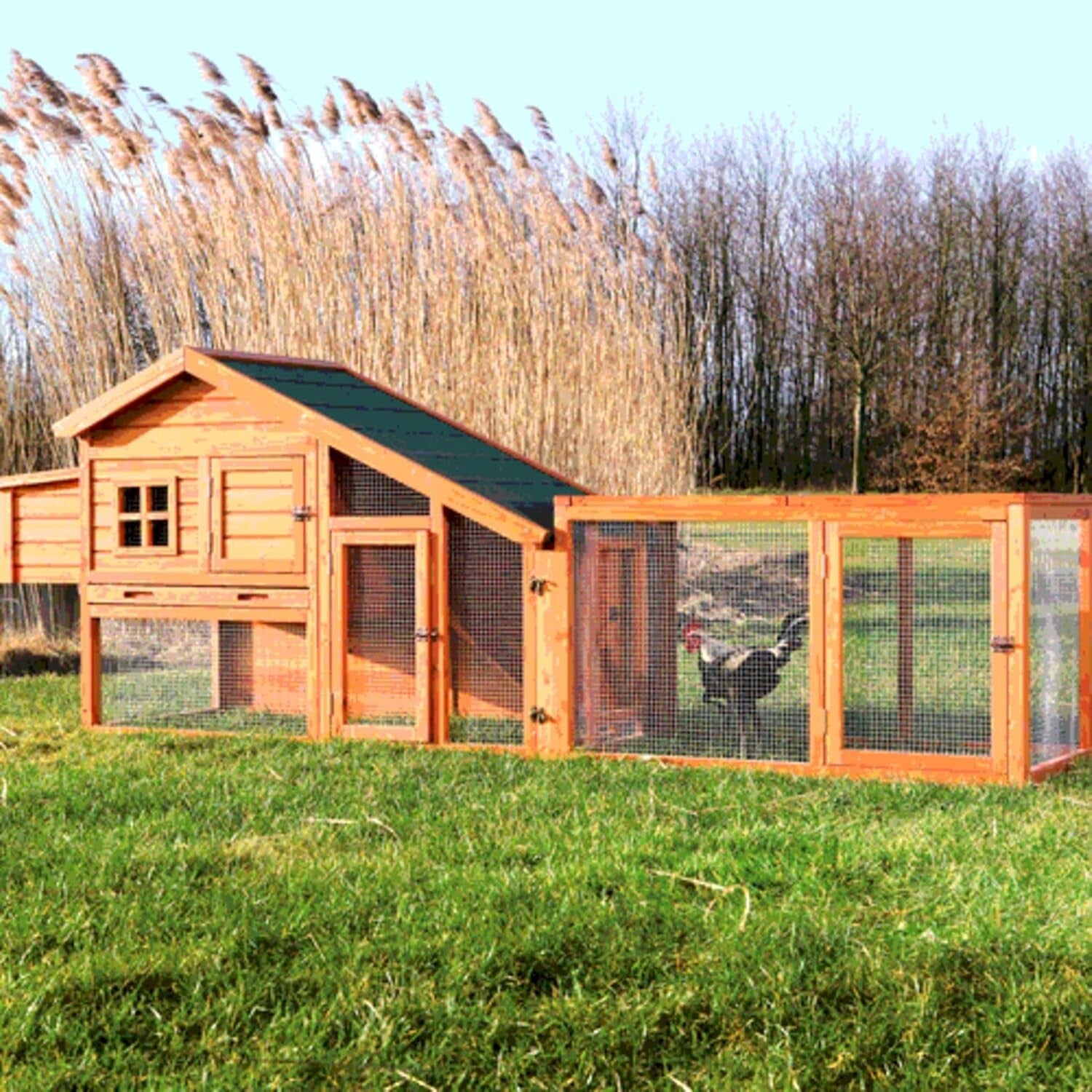 Compact Chicken Run for Small Animals with Mesh Cover - Safe, Stylish, 45"x27"