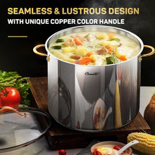 Load image into Gallery viewer, Health-Conscious 20 Qt Stock Pot - Induction Ready with Dishwasher Safe Lid