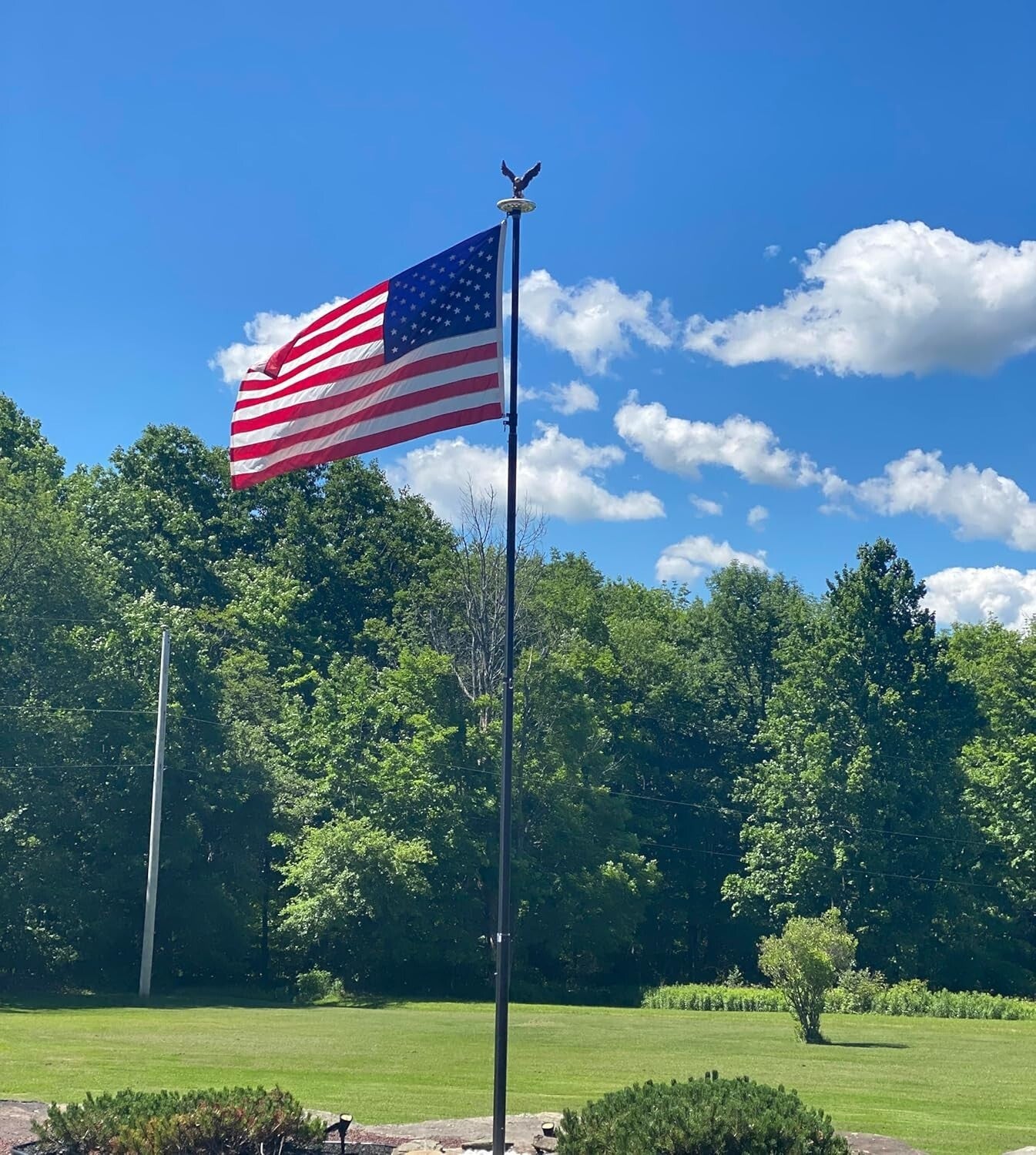 Lifelike Eagle Flagpole Finial - Weather-Resistant and Perfect for Indoor Decor