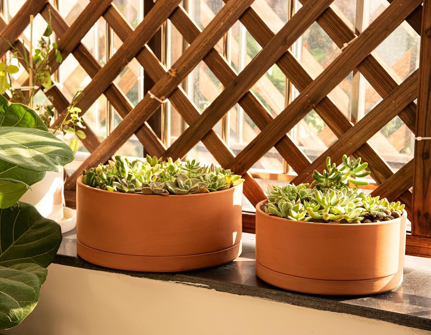 10-Inch Round Succulent Terracotta Pot with Drainage & Saucer – Elegant Choice