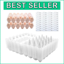 Load image into Gallery viewer, Reusable 24 Egg Clear Cartons with Free Labels – Perfect for Markets &amp; Farms
