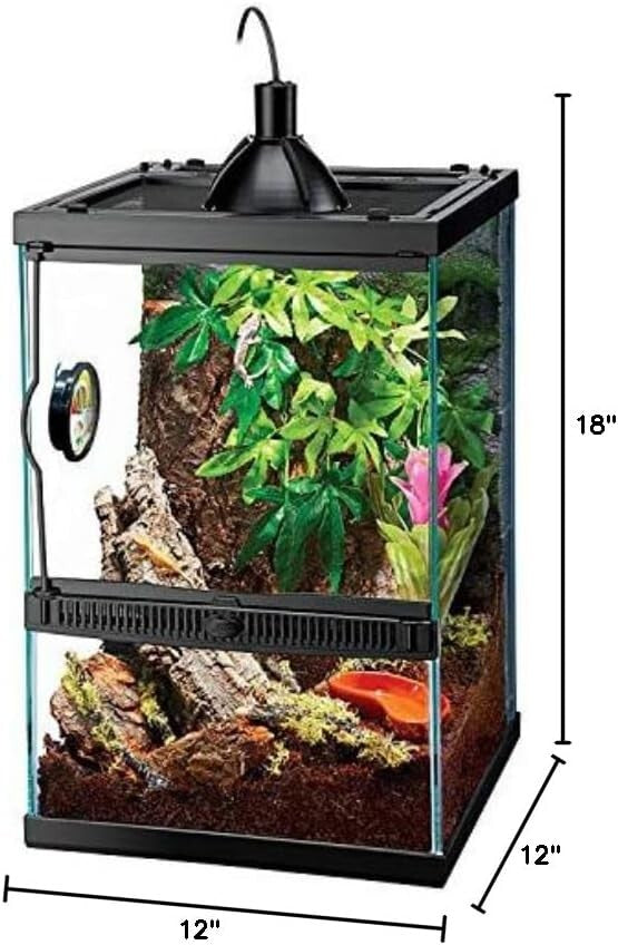 11 Gallon Glass Vertical Habitat Kit for Arboreal Reptiles & Amphibians