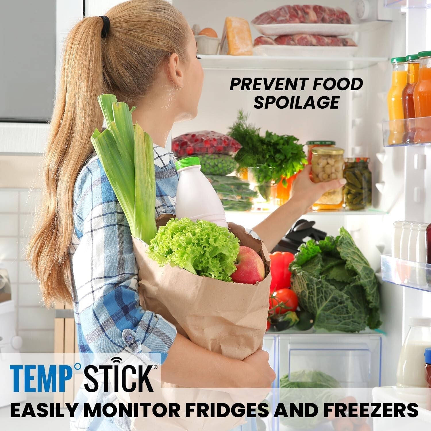 24/7 WiFi Temperature & Humidity Logger - Unlimited Text Alerts, Compact Design