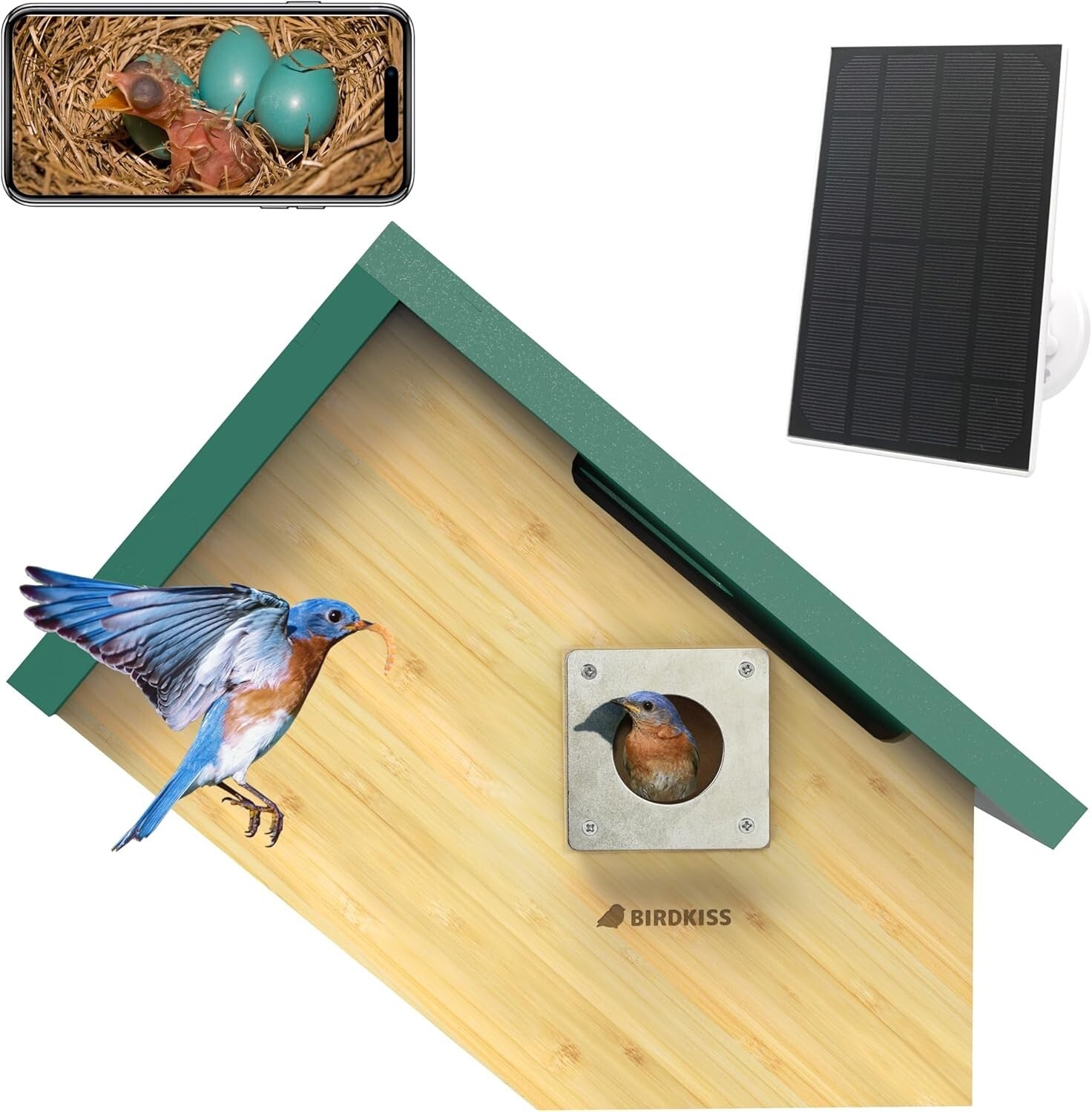 Educational Solar Birdhouse with Auto-Recording Camera for Kids & Nature Lovers