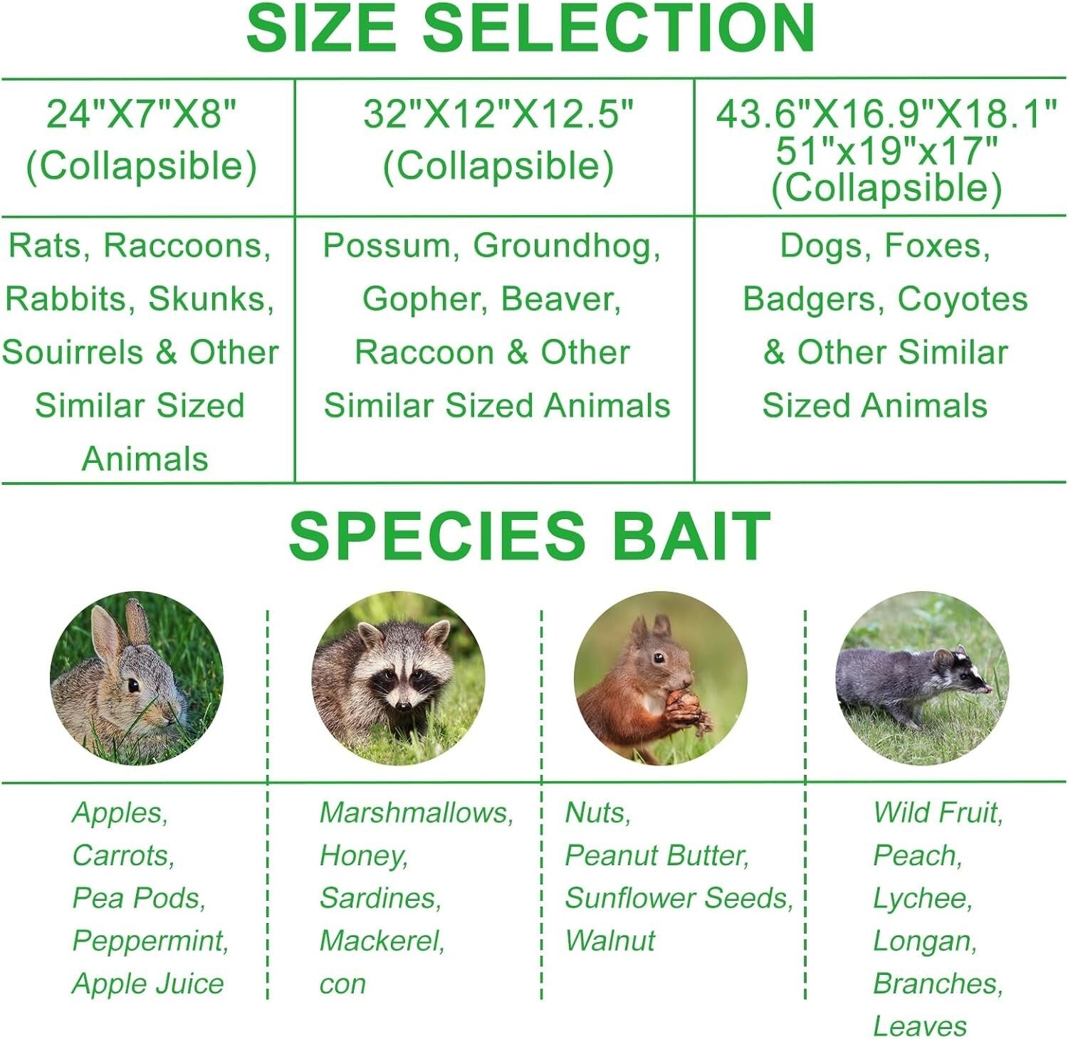 Stainless Steel Large Animal Trap - 51x19x17in for Dogs, Coyotes, Raccoons